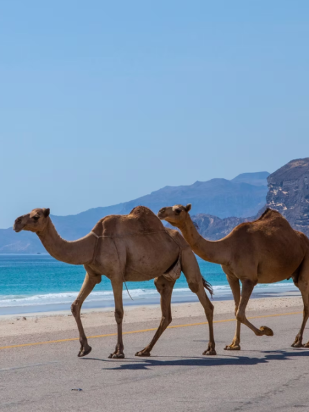 Screenshot 2025-11-08 002445