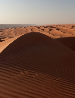 Screenshot 2025-11-08 002459